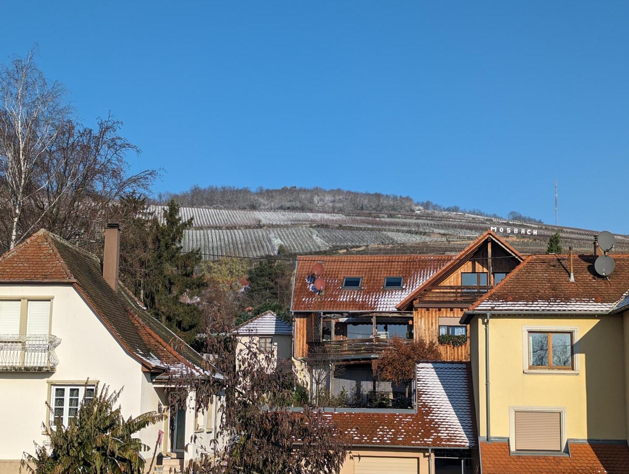 Appartamento Le Cosy Marlenheim Esterno foto